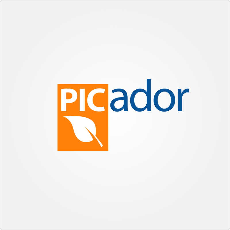 Picador